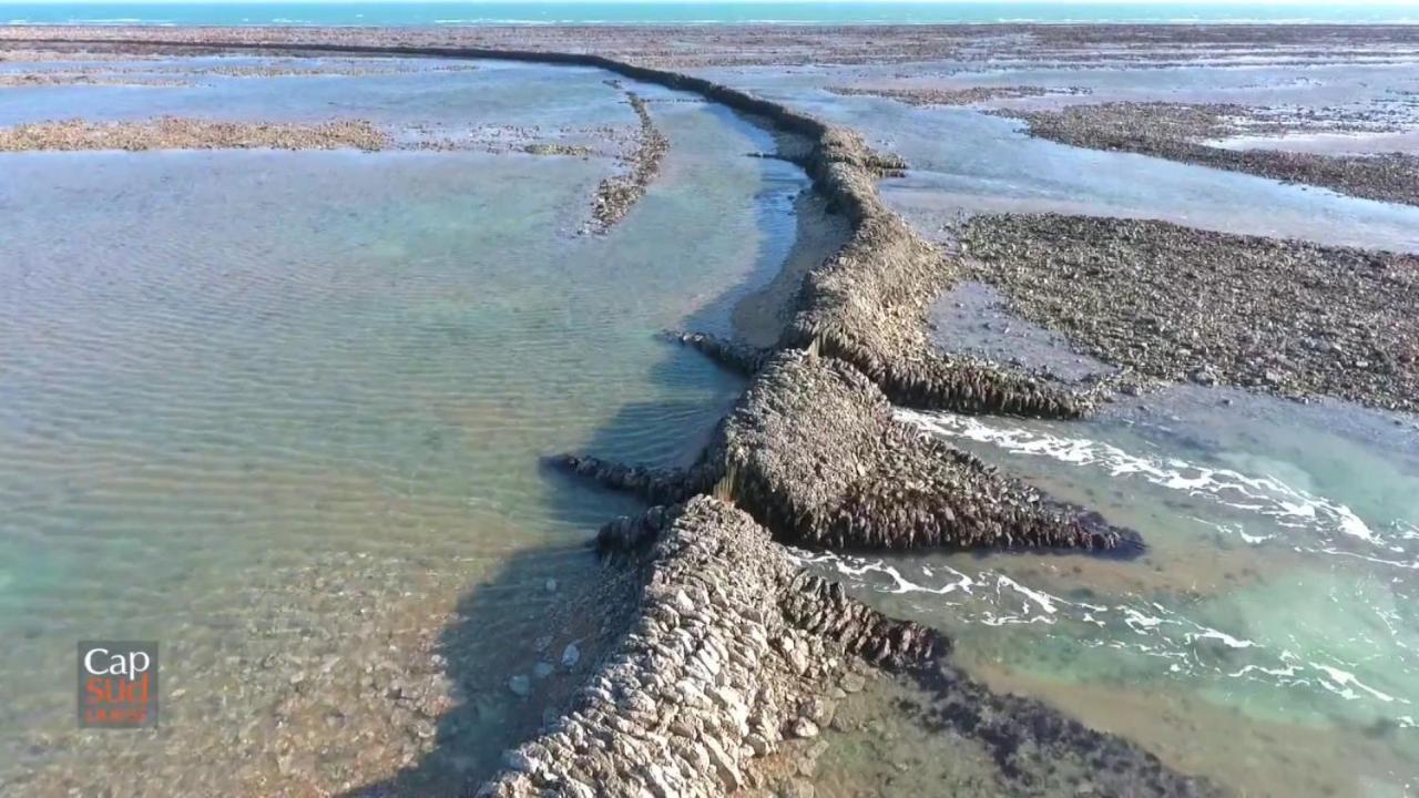 Les Pieds Dans L'Eau Acces Direct A La Plage La Cotinière Esterno foto