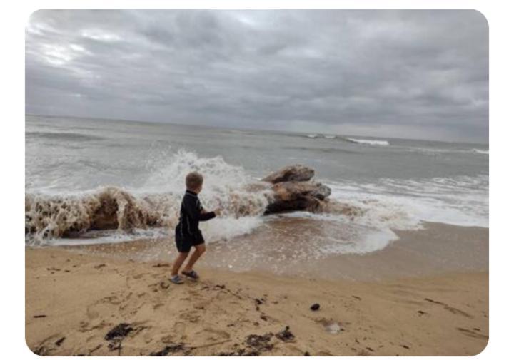 Les Pieds Dans L'Eau Acces Direct A La Plage La Cotinière Esterno foto
