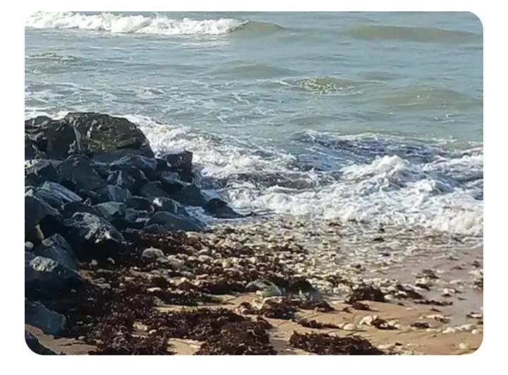 Les Pieds Dans L'Eau Acces Direct A La Plage La Cotinière Esterno foto